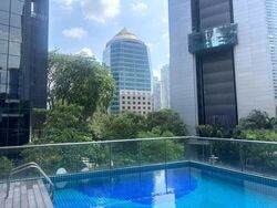Angullia Park Residences @ Orchard (D10), Apartment #546043811